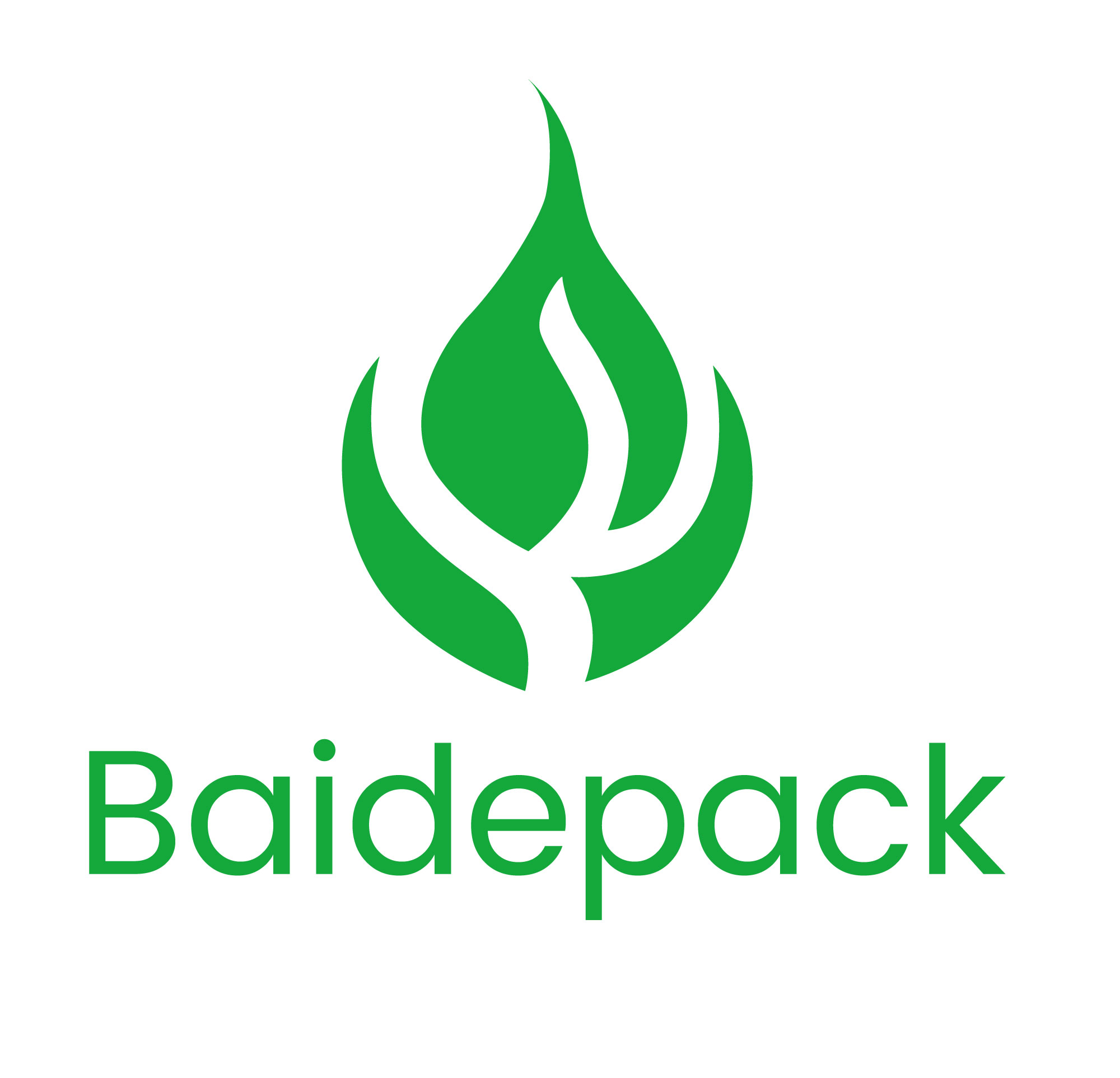 Hefei Baide Packaging Technology Co.,Ltd