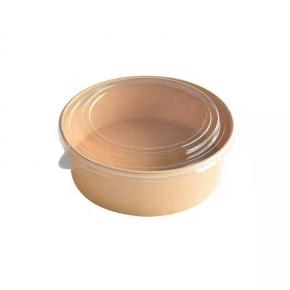 Paper Bowl